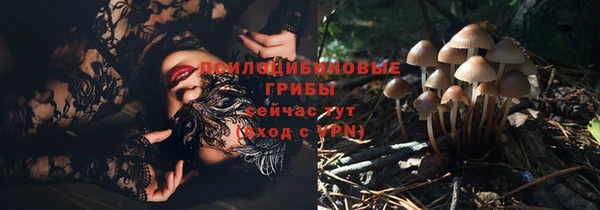 бошки Пестово